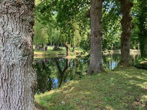 La Demeure Romantique Bazouges-sous-Hede Dış mekan fotoğraf