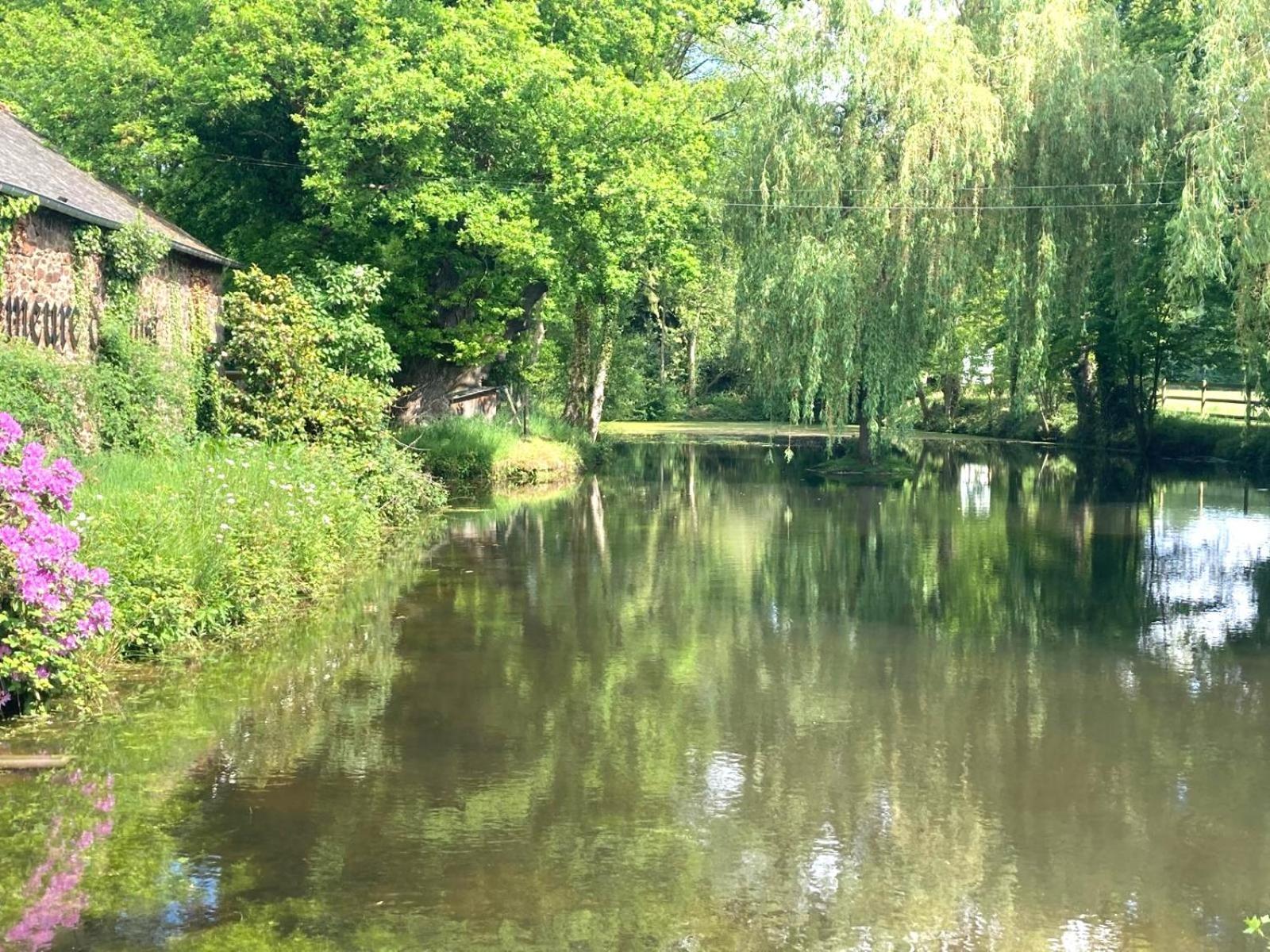 La Demeure Romantique Bazouges-sous-Hede Dış mekan fotoğraf